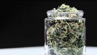 California's State Fair Will Have A Cannabis Competition