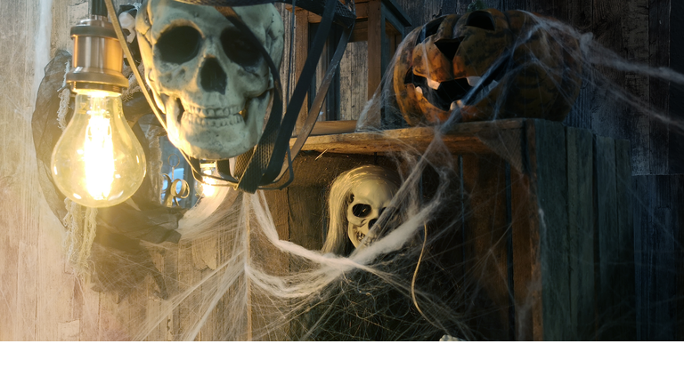 Installation of human skull on foreground,skeleton with long grey hair and pumpkin Jack of the Lantern on top shelf, covered with cobwebs,lit by yellow light bulb with wooden boards on background