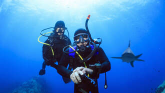 Loud Sonar Ping Scares Scuba Divers 