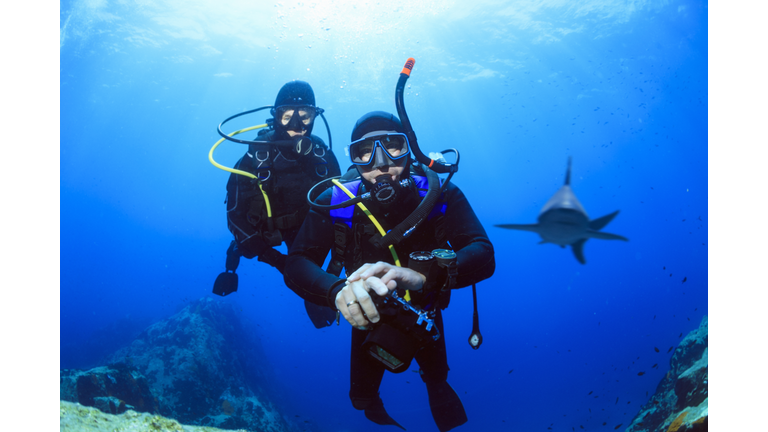 Scuba divers - Shark reef