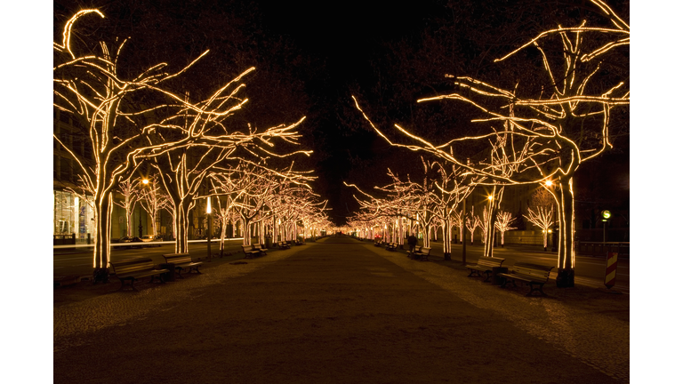 Boulevard with illuminated trees, Berlin, Germany