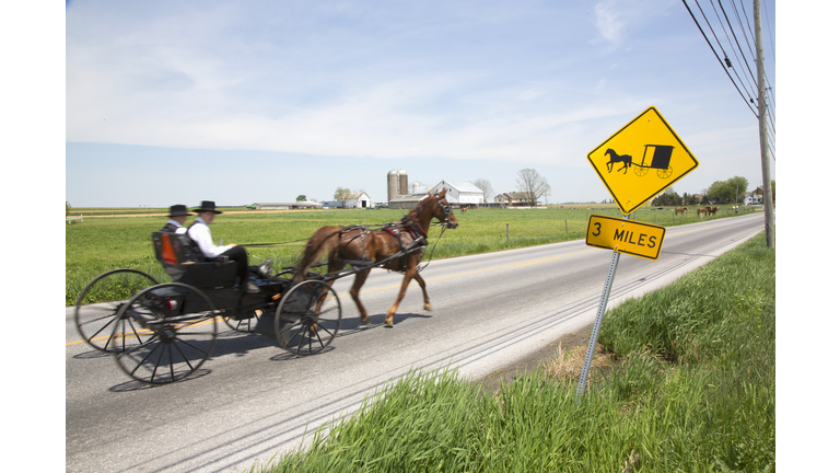 Amish horse and buggy