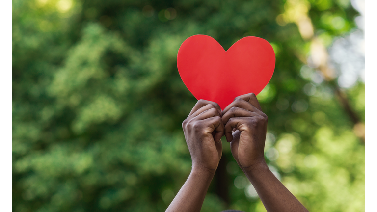 Black hands holding red paper heart on green background