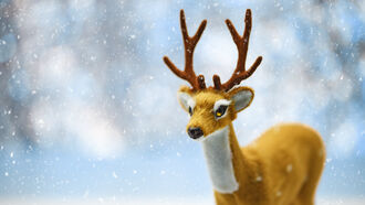 Watch: Rudolph Decoration Attacked by Real Deer