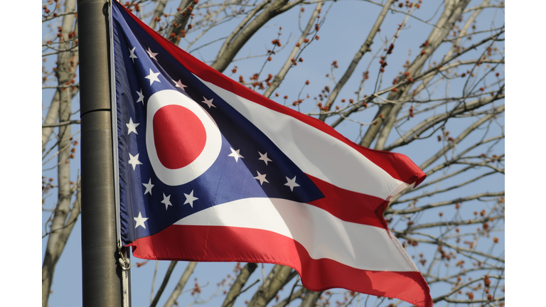Ohio State Flag
