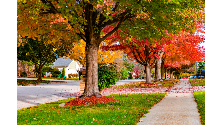 Suburban Neighborhood Sidewalk and Street in Autumn