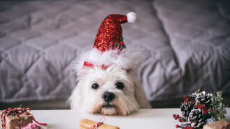 Happy National Day of Giving!