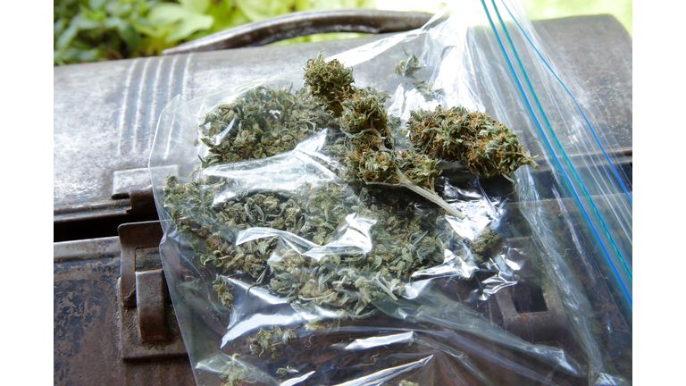 plastic bag of assortment of marijuana on lunch box