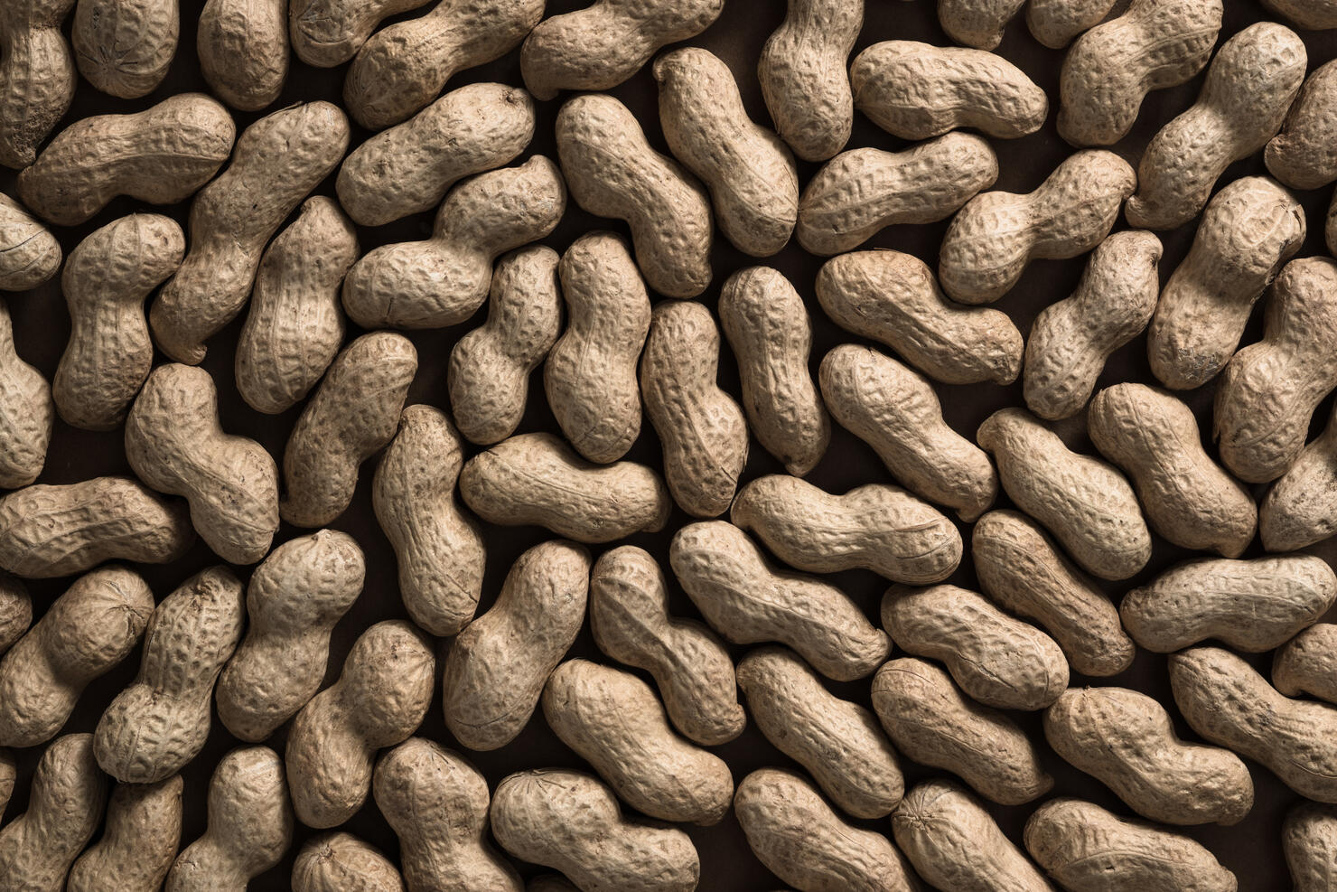 Aboundance Peanuts Fullframe