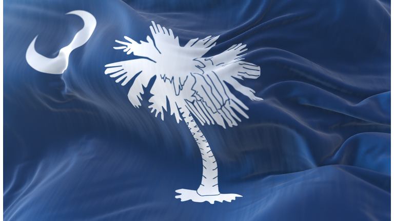Flag of american state of South Carolina, region of the United States