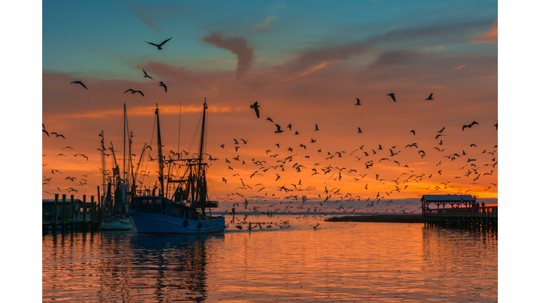 Shem Creek at dusk