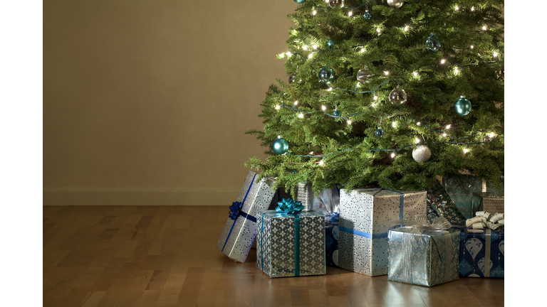 Christmas Presents Under the Tree