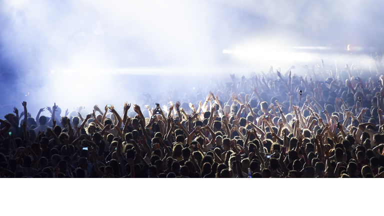 Crowd at concert