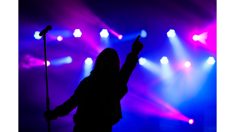 Silhouette Woman At Music Concert