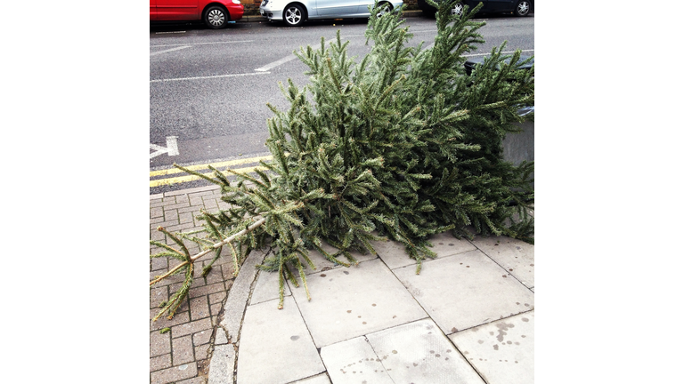 Christmas tree discarded on street, London, England, UK