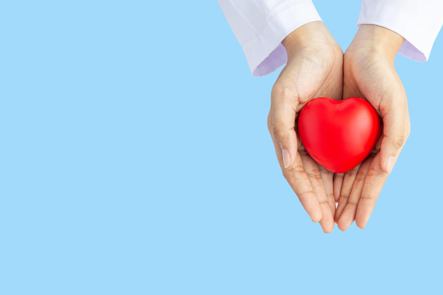 Woman doctor hands holding red heart on wide blue background donate for foundation hospital blood care concept Panoramic world heart and health day, People CSR community, foster support children organ