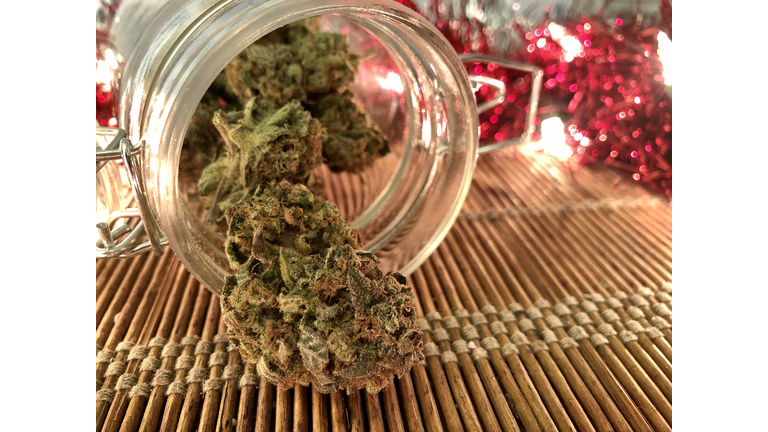 Cannabis Sativa in jar with Christmas lights