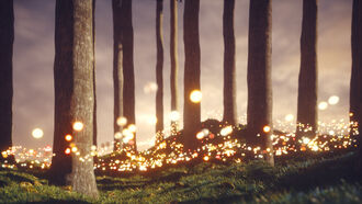 Trilogy: Prophecies & Visions