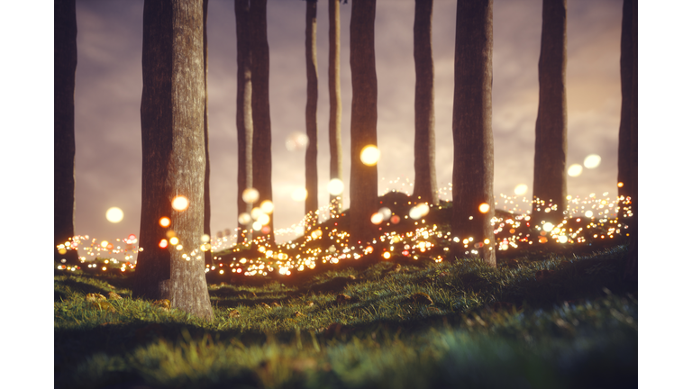 Trilogy: Prophecies & Visions