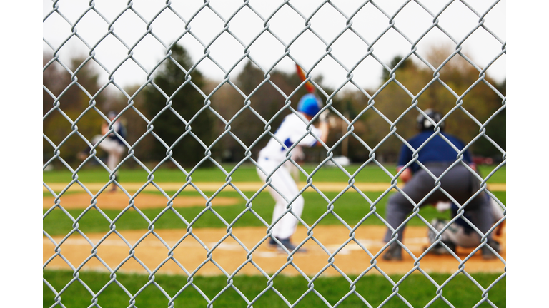 Fence with Baseball Game Pitcher, Batter, Catcher and Umpire