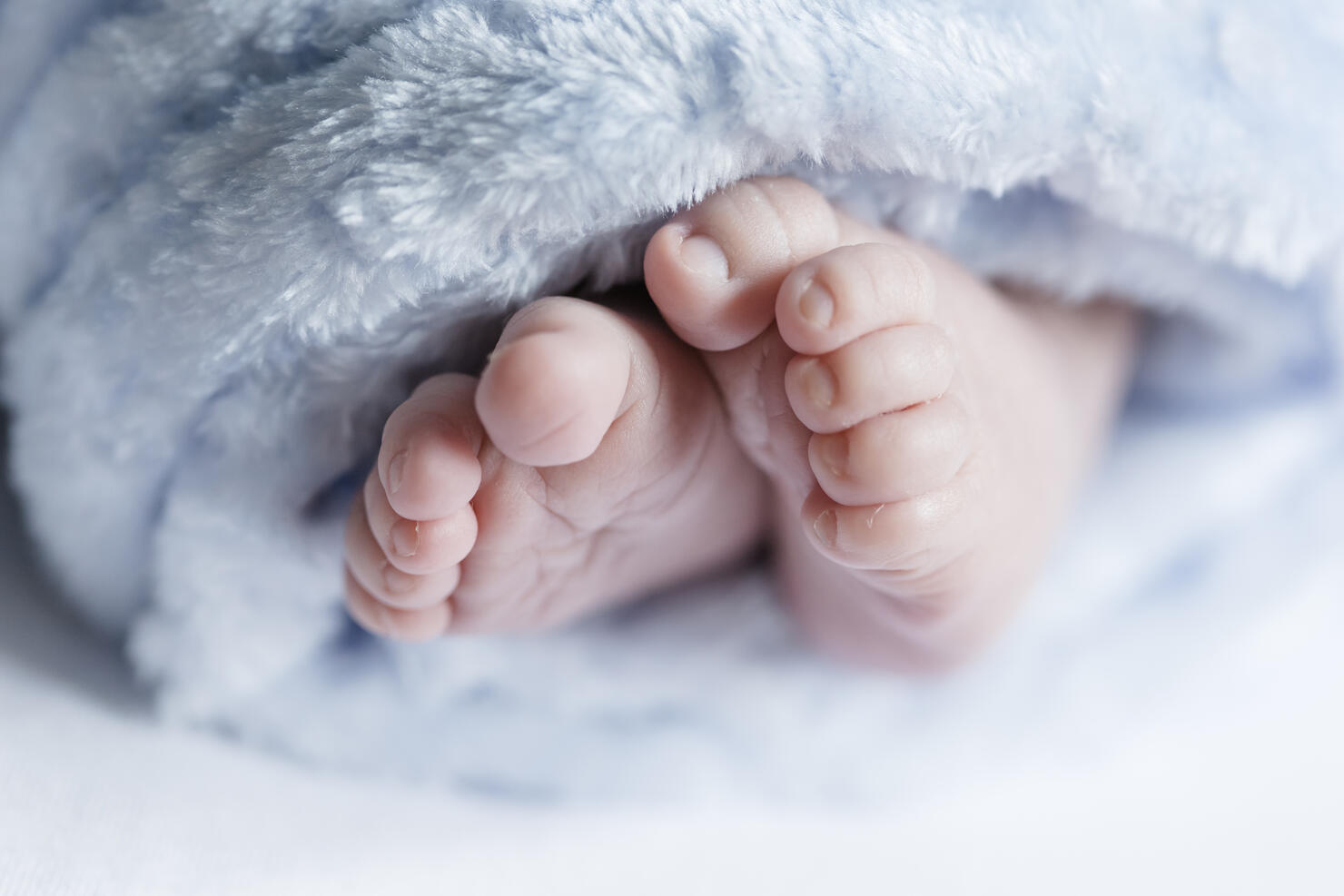Close up of feet of a newborn baby