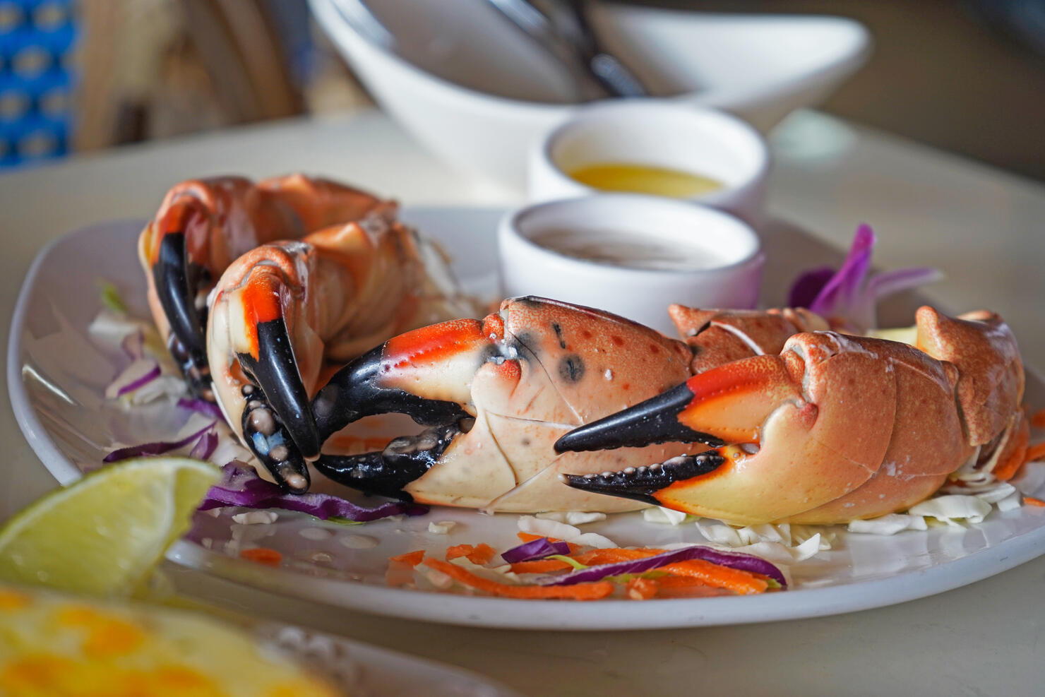 Florida Stone crab claws served with butter and dip at the resaturant in Miami, USA