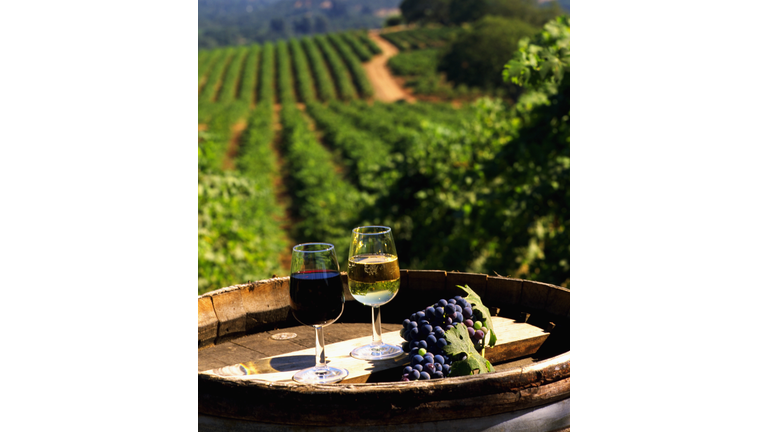 Wine Glasses and Grapes