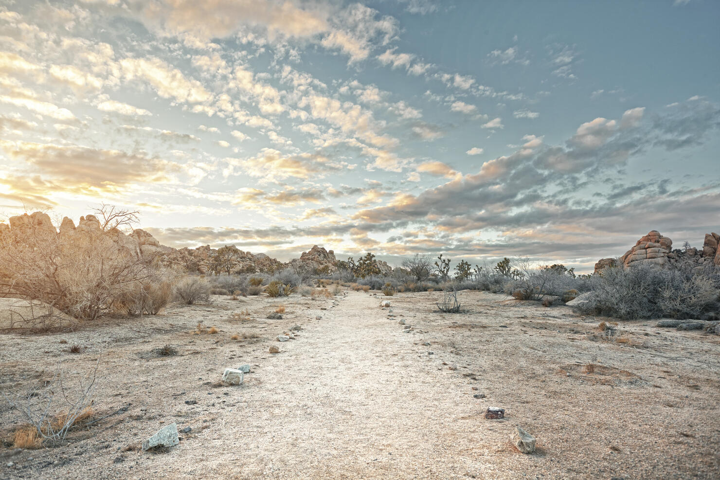 Desert path at sunset
