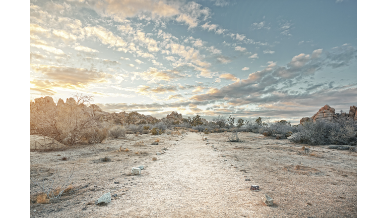 Desert path at sunset