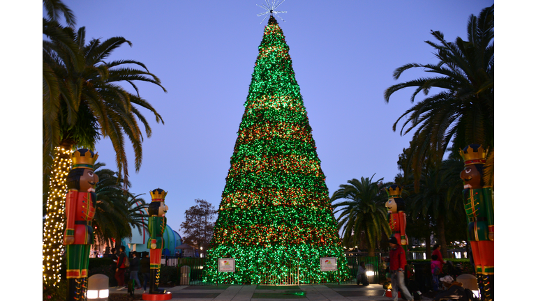 Christmas Tree - Lake Eola