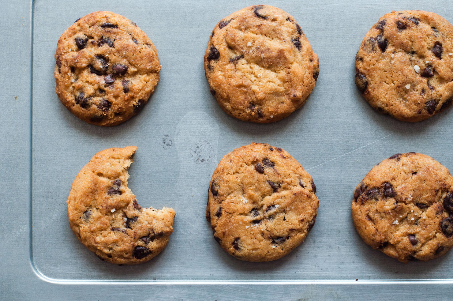 A bunch of freshly baked chocolate chip cookies on a baking sheet