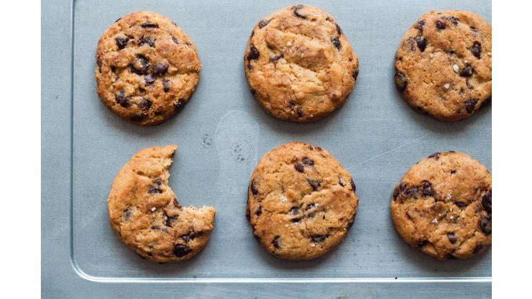 A bunch of freshly baked chocolate chip cookies on a baking sheet