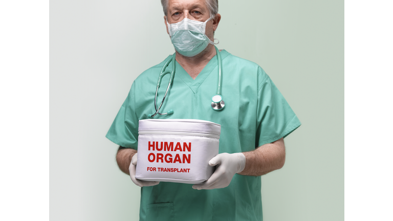 Surgeon with human organ for transplant