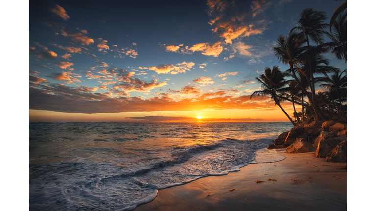 Sunrise on a tropical island. Palm trees on sandy beach.