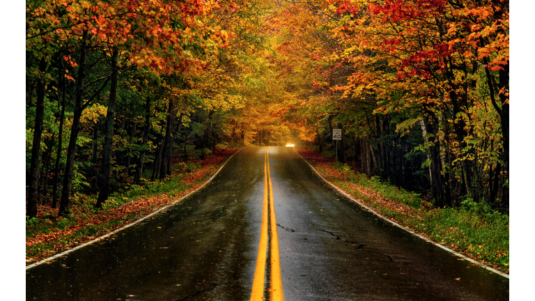 Fall Foliage in Vermont