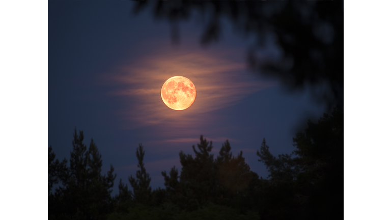 Mysteries of the Moon / Secret Bases & UFOs