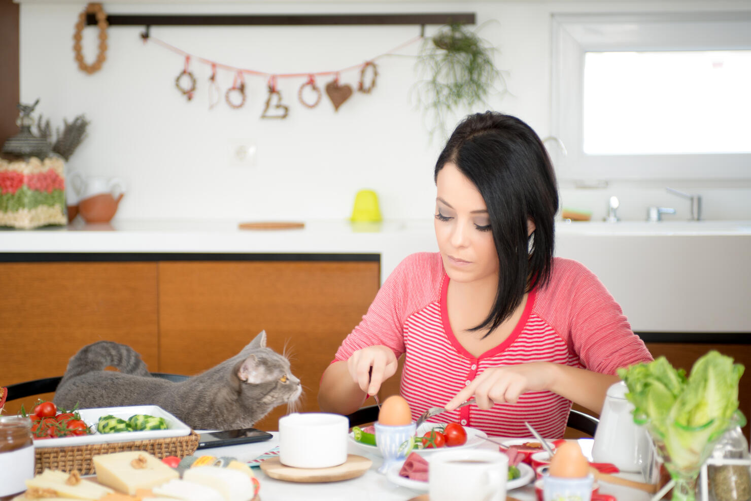 beautiful woman eating breakfast with cats