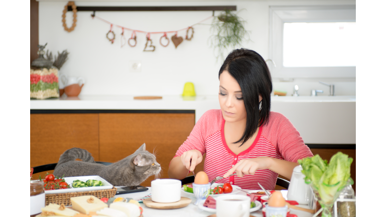 beautiful woman eating breakfast with cats