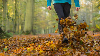 Riffin' Around: Fall Edition