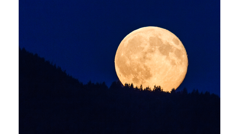 Supermoon glowing against blue sky