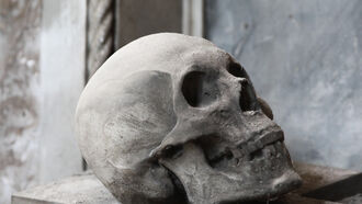 Starchild Skull & Hominoids