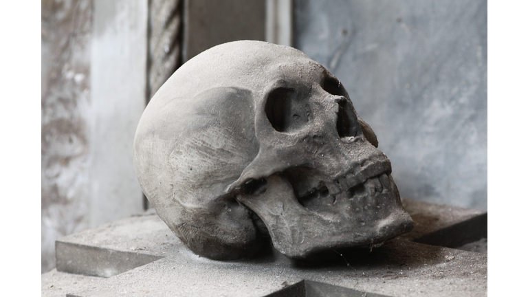 Starchild Skull & Hominoids