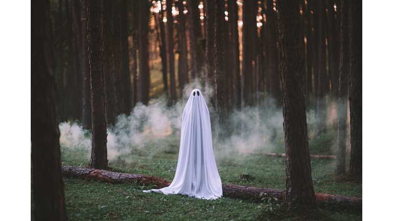 Portrait Of Woman Wearing Ghost Costume In Forest
