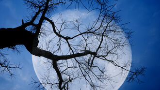 Cults & Subcultures / Astrology Insights