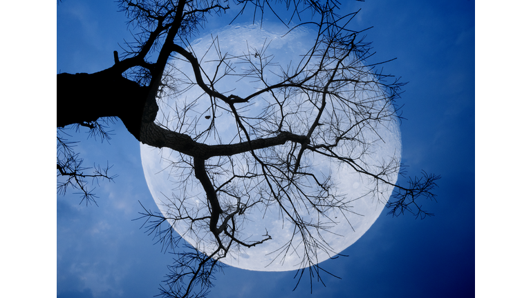 Cults & Subcultures / Astrology Insights