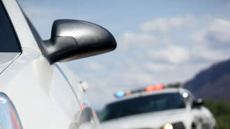 Best thing you'll see today! 