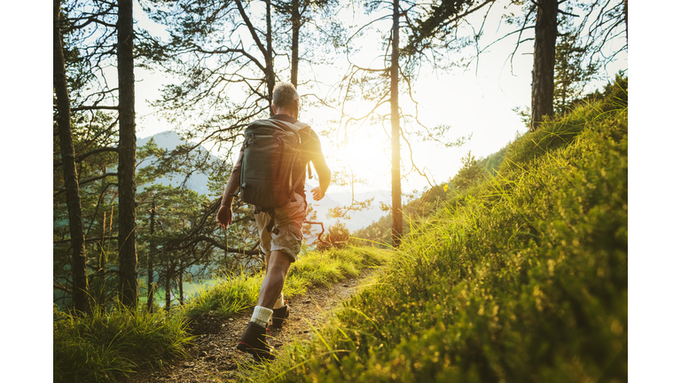 Senior man trail hiking in a mountain forest, in the Alps of Italy
