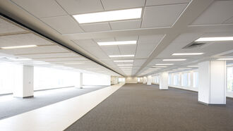 Environmental Illness