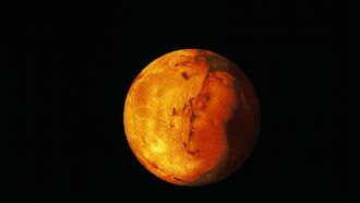 Mars Anomalies / Investigating Cryptids