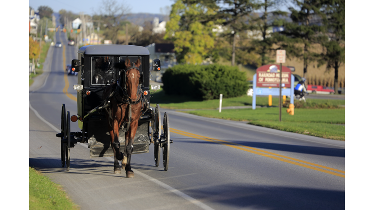 Amish buggy on country road